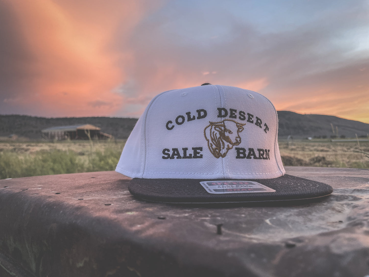 Cold Desert Sale Barn Snapback Hat