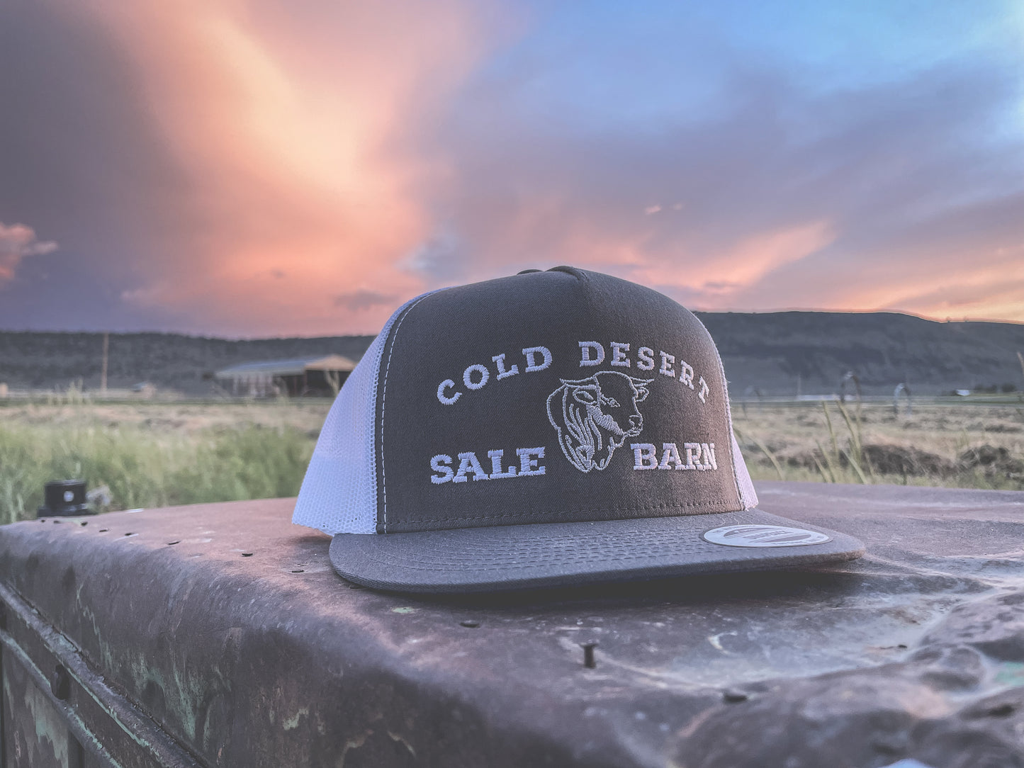 Cold Desert Sale Barn Trucker Cap - Dark Colors