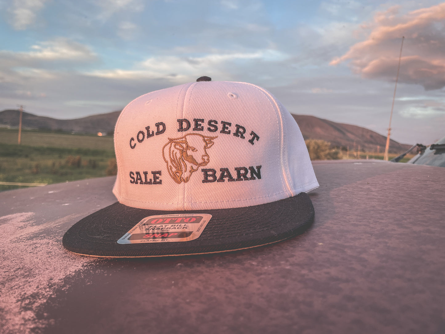 Cold Desert Sale Barn Snapback Hat