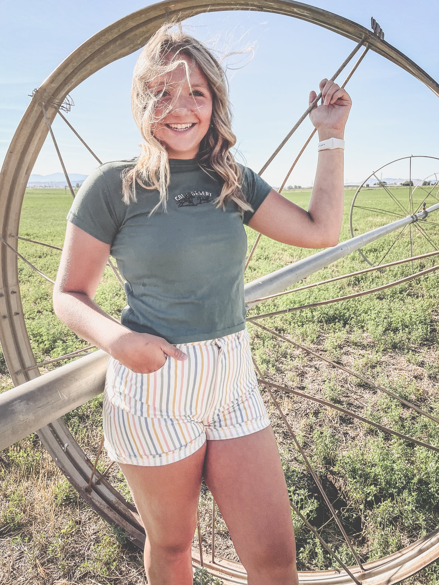 Cold Desert Embroidered Women’s high-waisted t-shirt