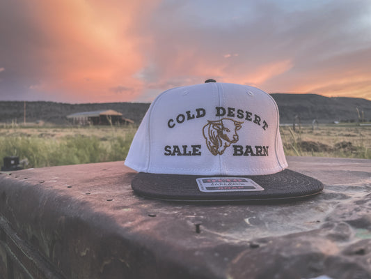 Cold Desert Sale Barn Snapback Hat