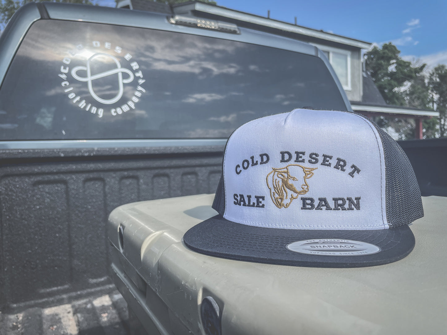 Cold Desert Sale Barn Trucker Cap - White