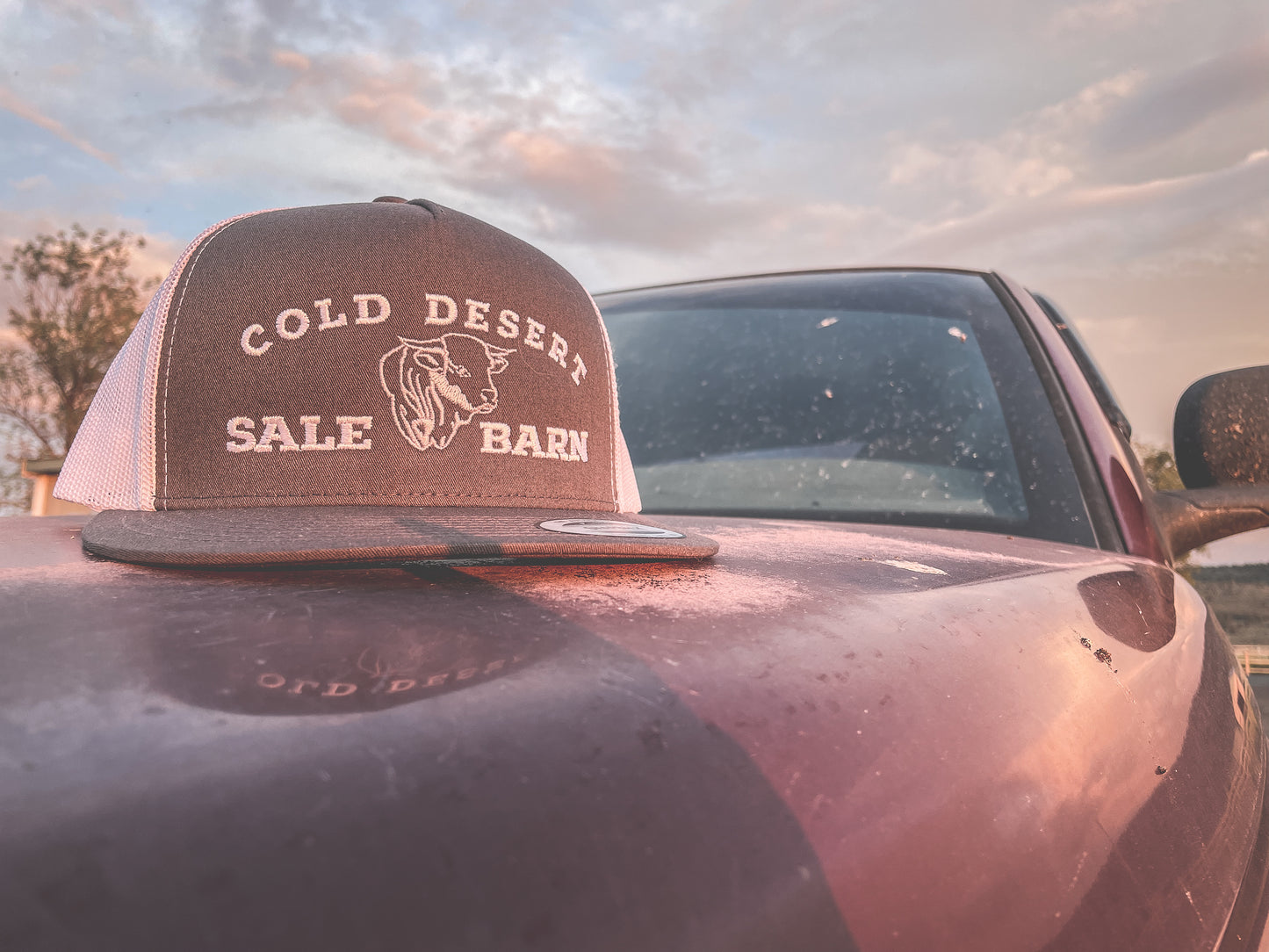 Cold Desert Sale Barn Trucker Cap - Dark Colors