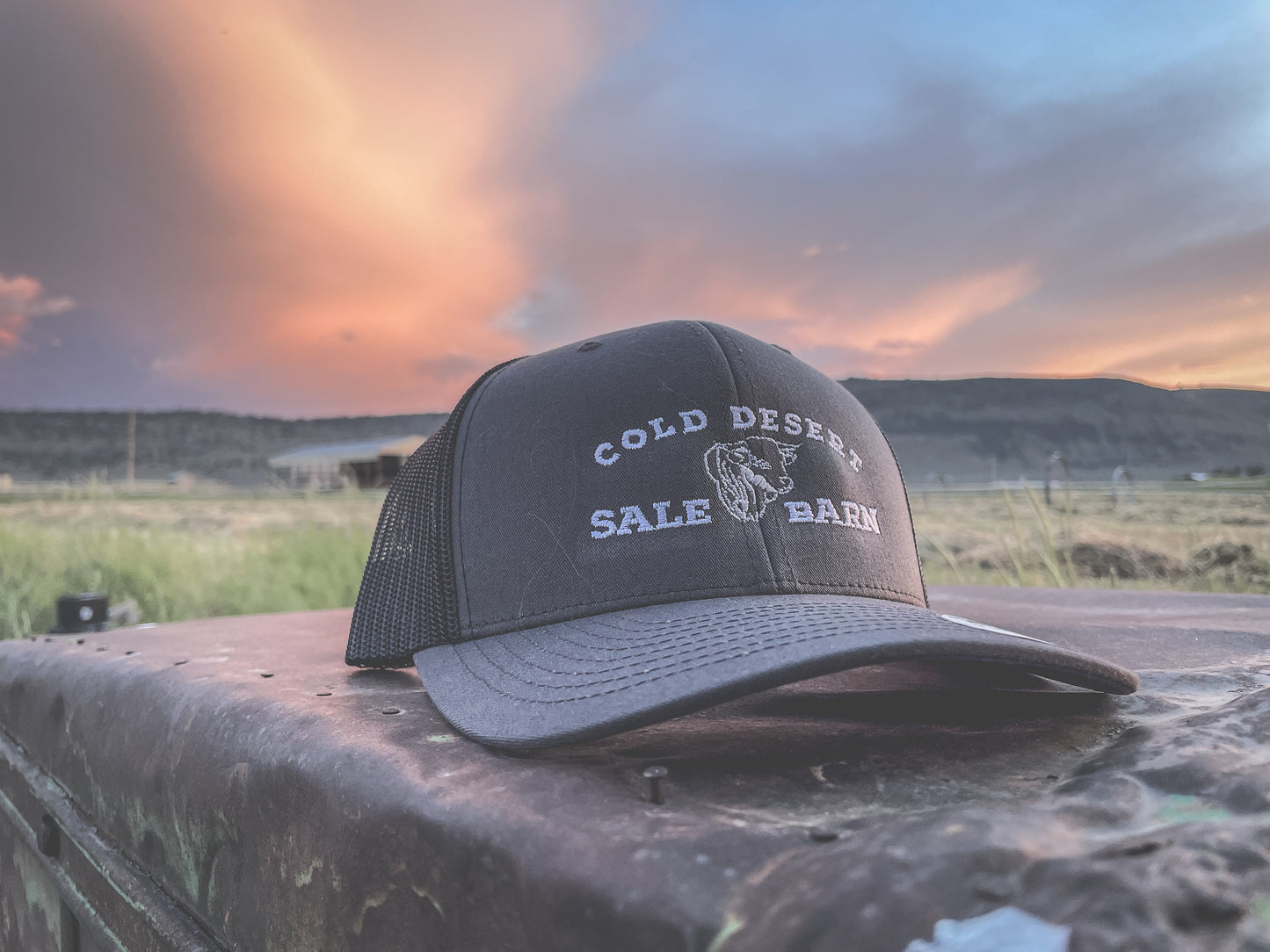 Cold Desert Sale Barn Curved Trucker Cap